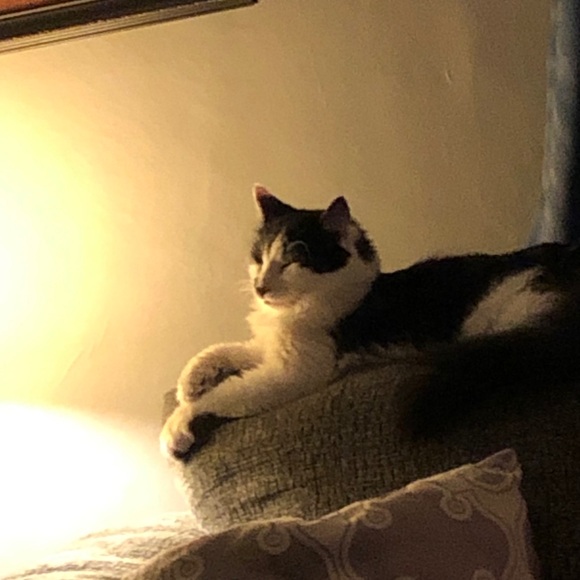 Meet your Posher, Maryann - Picture 3 of 4